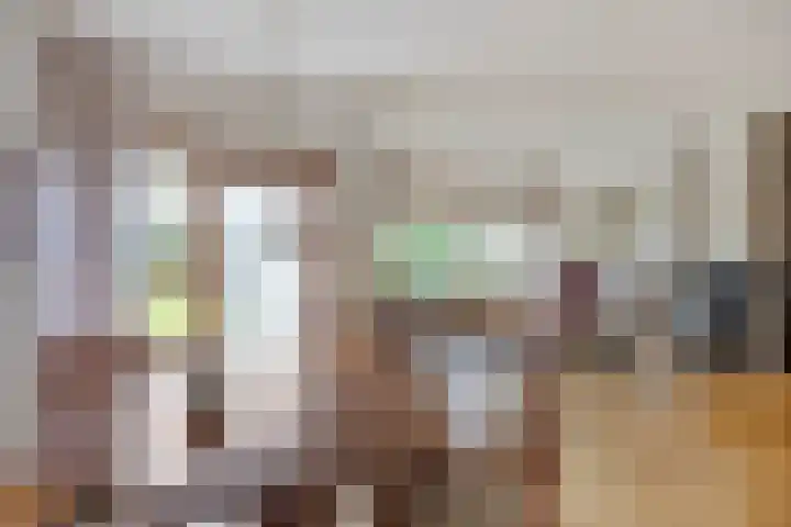Effileursdonk 36 Maastricht thumbnail 5