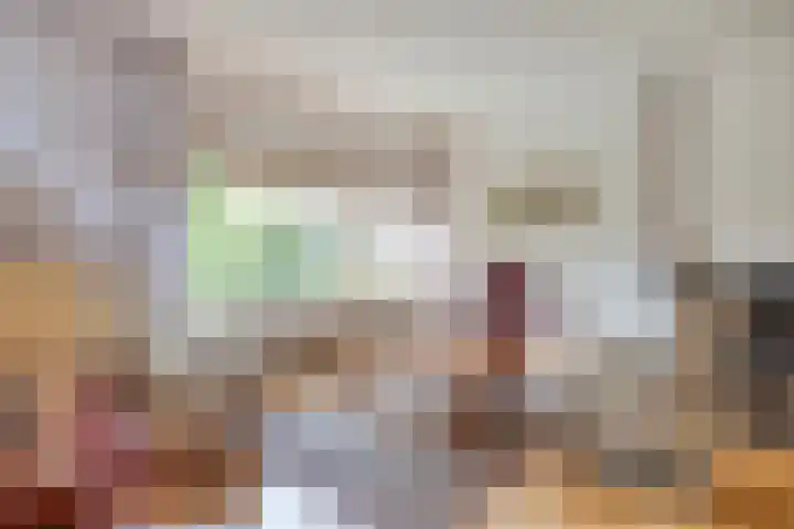 Effileursdonk 36 Maastricht thumbnail 7