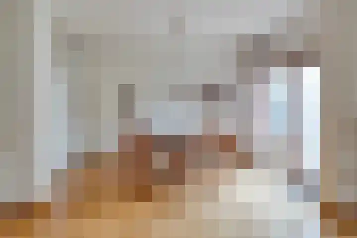 Effileursdonk 36 Maastricht thumbnail 8