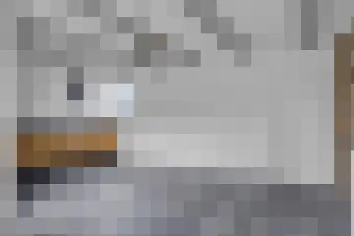 Efterom 2 Langweer thumbnail 13