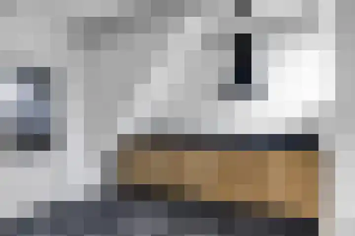Efterom 2 Langweer thumbnail 15