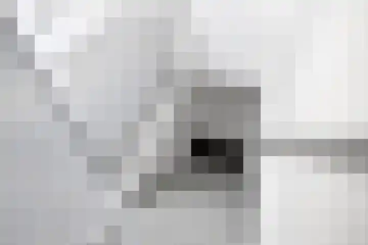 Efterom 2 Langweer thumbnail 19
