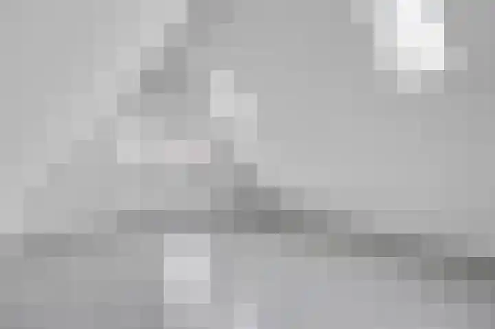 Efterom 2 Langweer thumbnail 20
