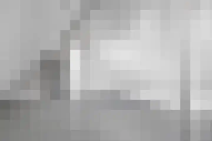 Efterom 2 Langweer thumbnail 21