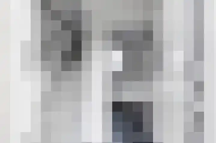 Efterom 2 Langweer thumbnail 7