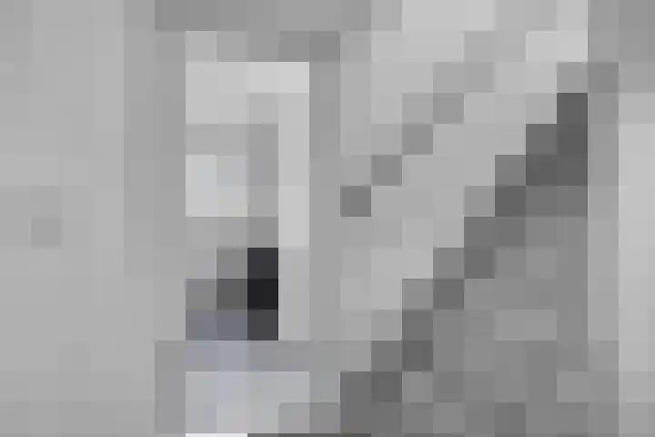 Efterom 2 Langweer thumbnail 8