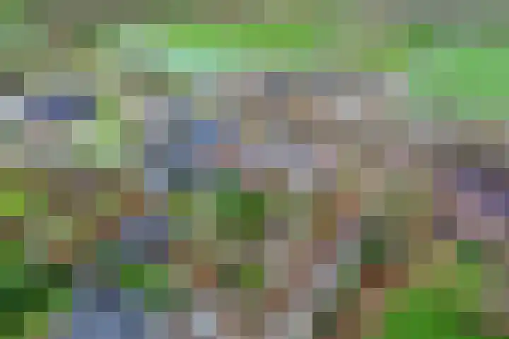 Efterwei 11 a Rottevalle thumbnail 15