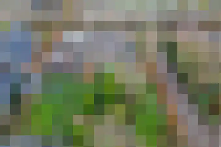 Efterwei 11 a Rottevalle thumbnail 16