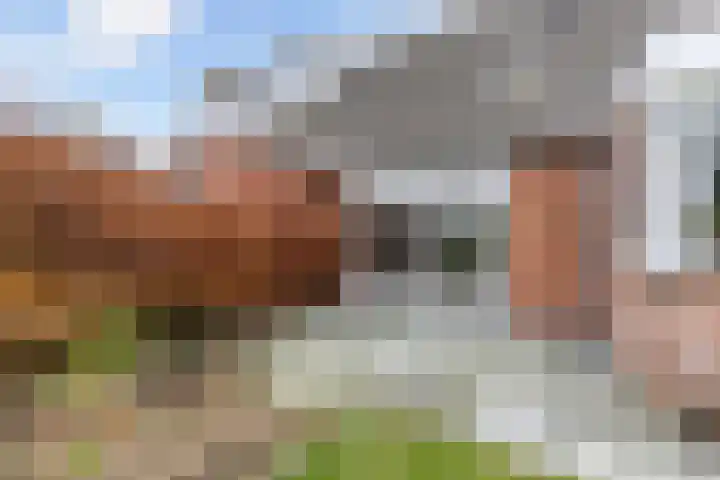 Efterwei 11 a Rottevalle thumbnail 41