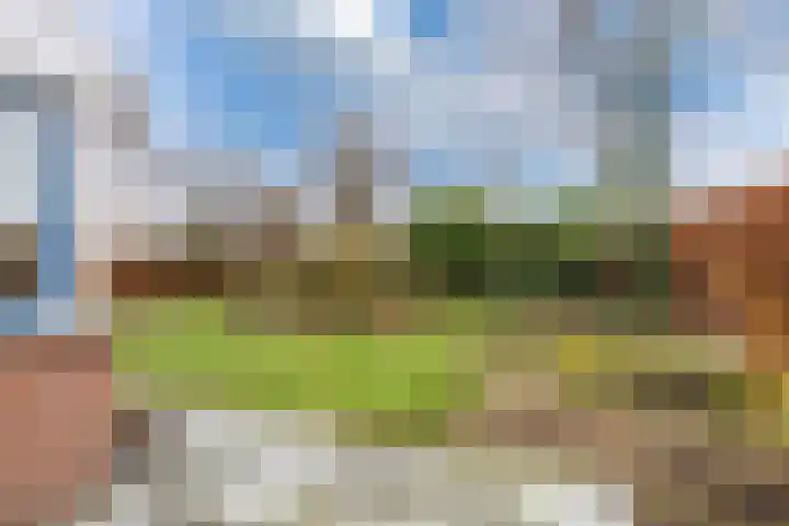 Efterwei 11 a Rottevalle thumbnail 44