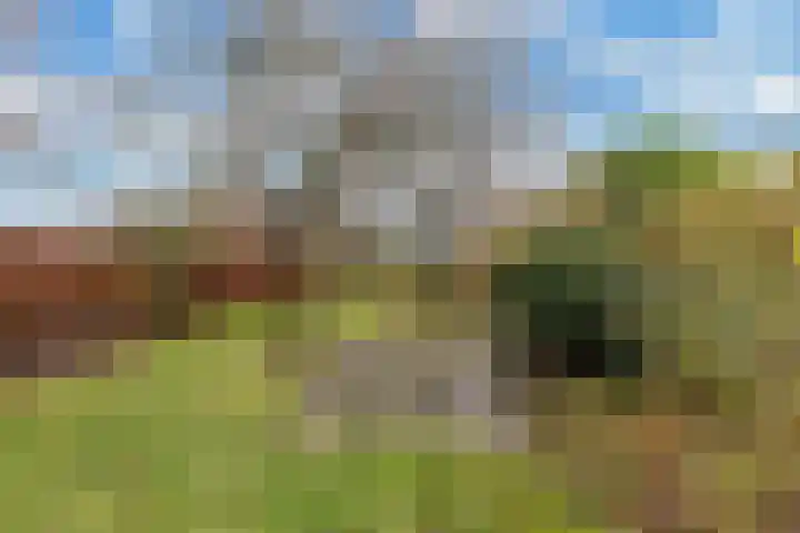 Efterwei 11 a Rottevalle thumbnail 45
