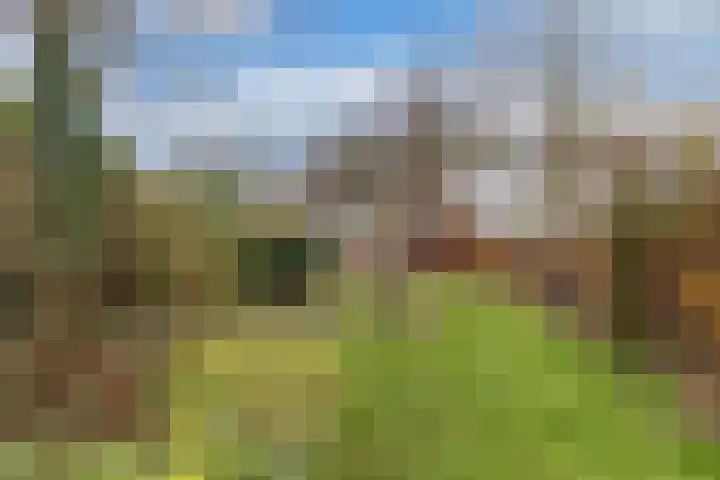 Efterwei 11 a Rottevalle thumbnail 46
