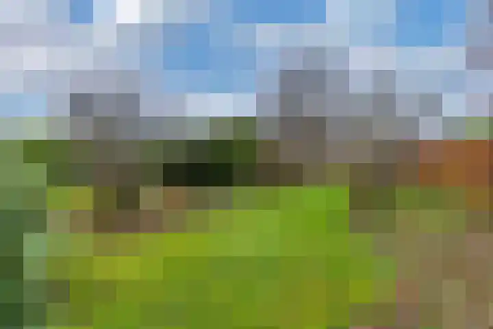 Efterwei 11 a Rottevalle thumbnail 47