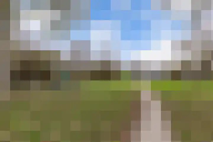 Efterwei 11 a Rottevalle thumbnail 48