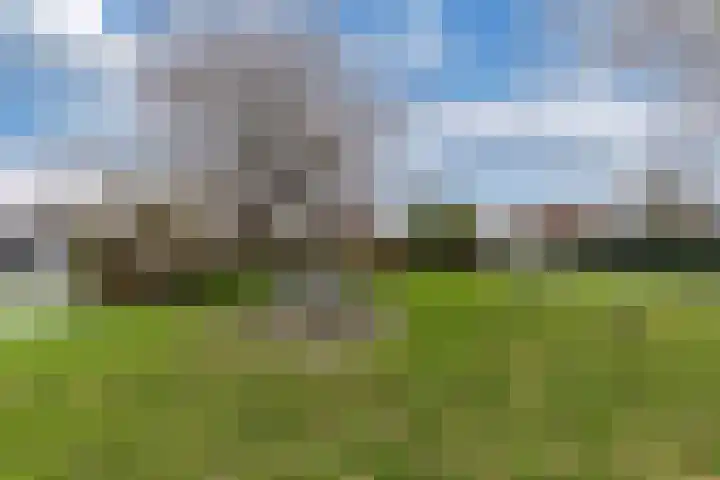 Efterwei 11 a Rottevalle thumbnail 49