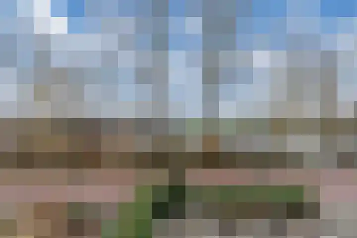 Efterwei 11 a Rottevalle thumbnail 50