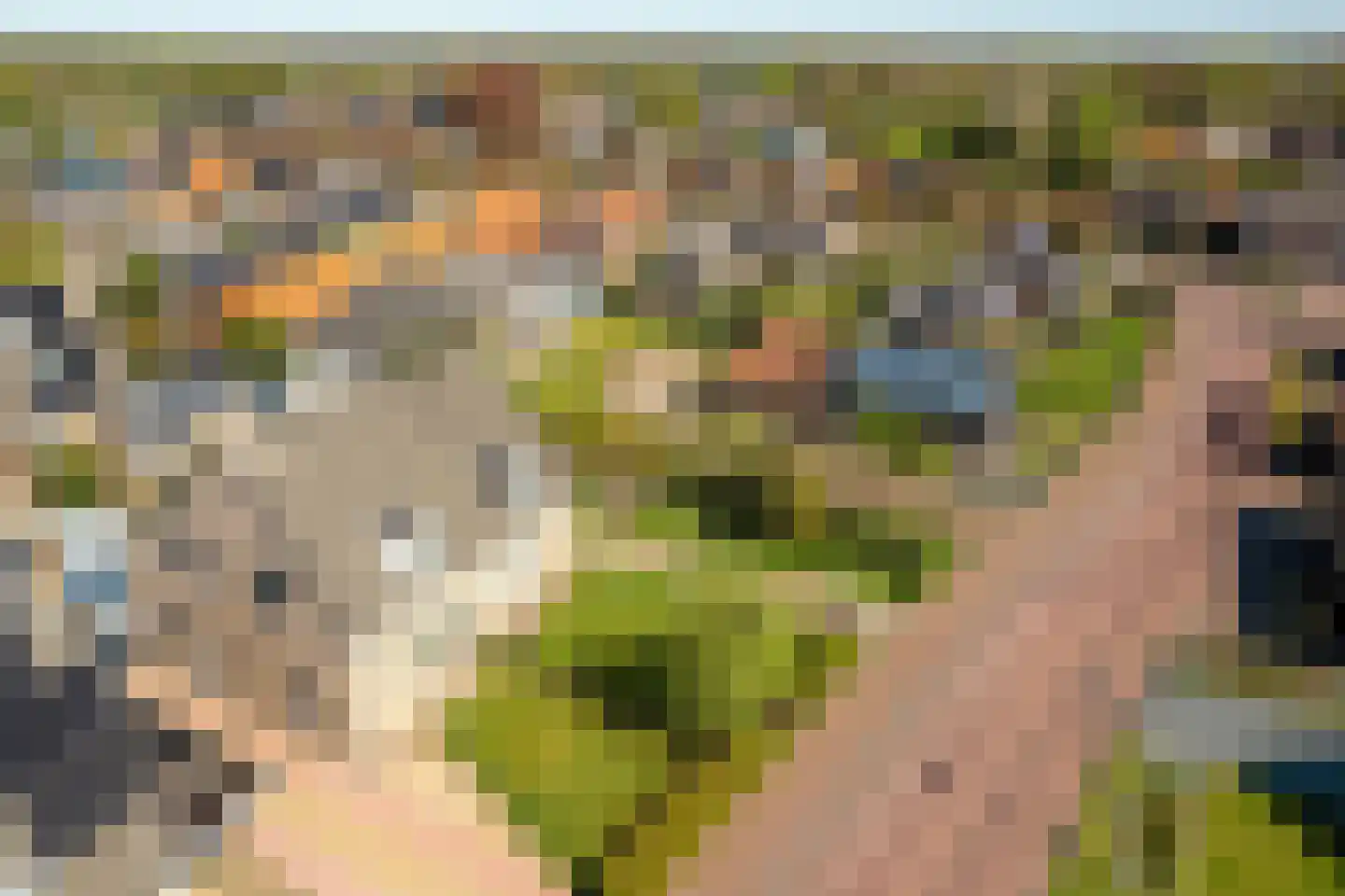 Efterwei 4 Rottevalle thumbnail 10