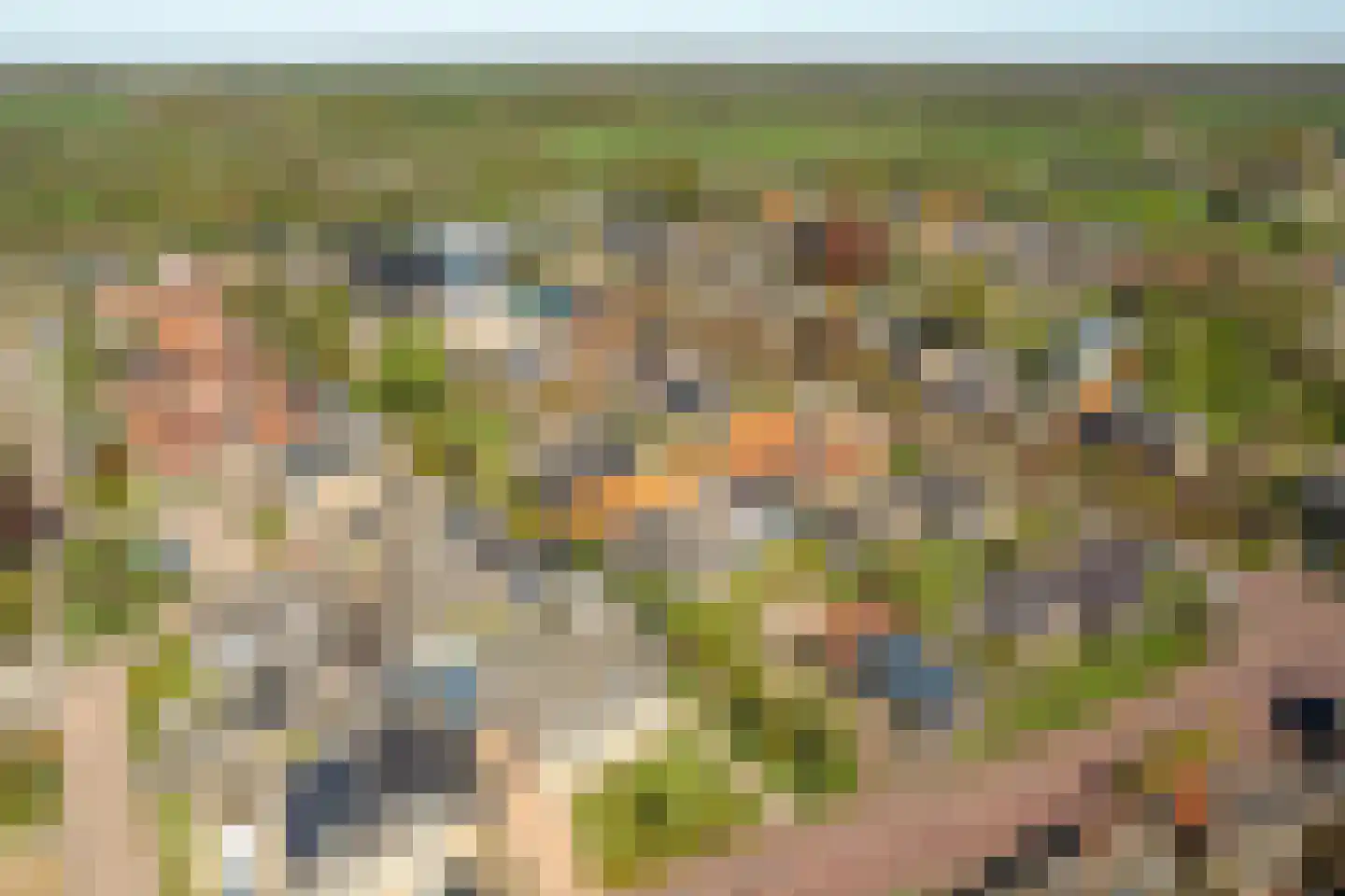 Efterwei 4 Rottevalle thumbnail 11