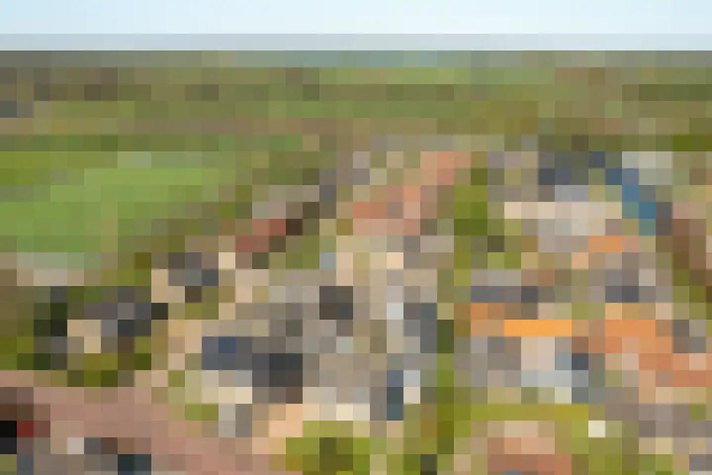 Efterwei 4 Rottevalle thumbnail 12