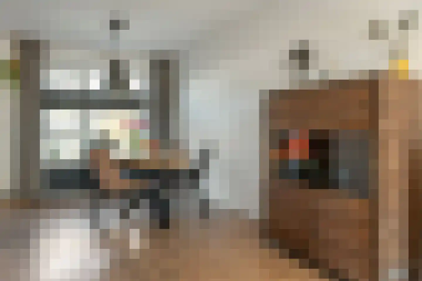 Efterwei 4 Rottevalle thumbnail 19