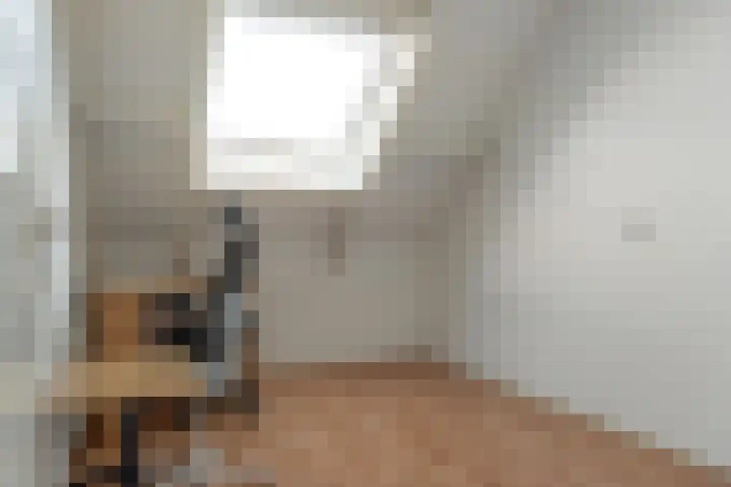 Efterwei 4 Rottevalle thumbnail 33