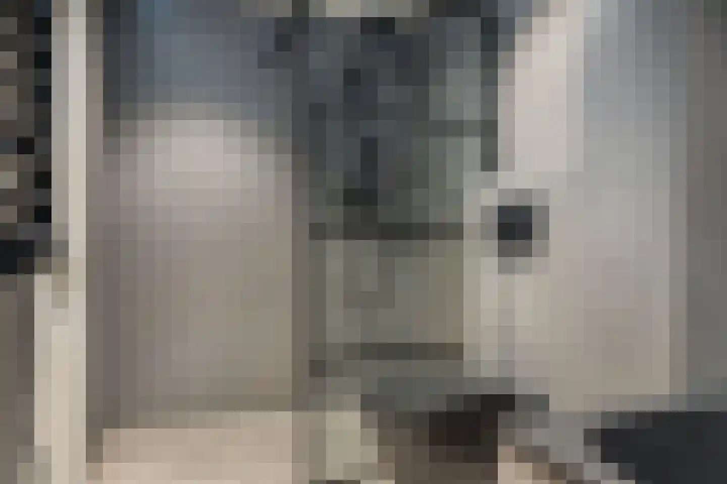 Efterwei 4 Rottevalle thumbnail 39