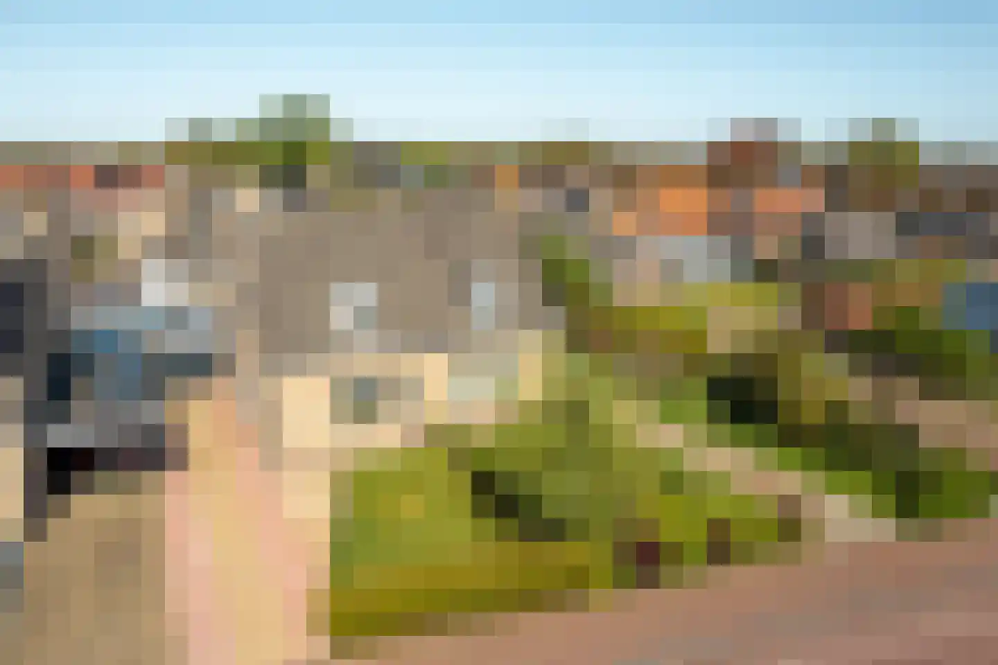 Efterwei 4 Rottevalle thumbnail 5