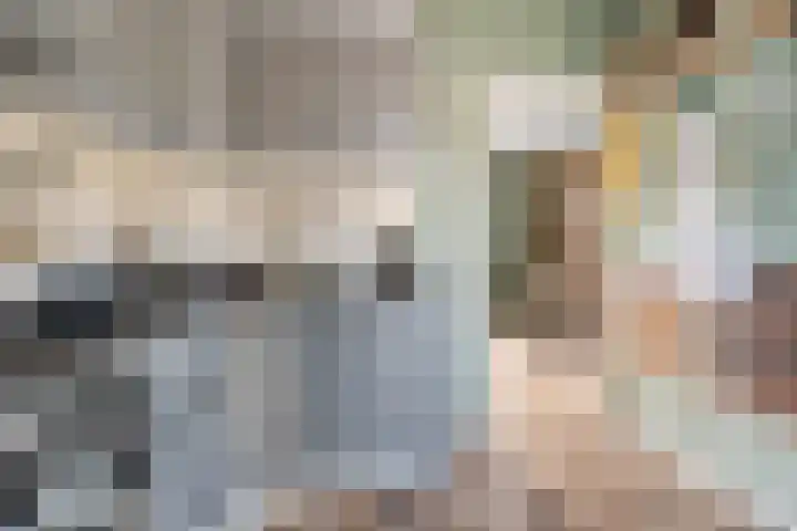 Efterwei 9 Nes thumbnail 13