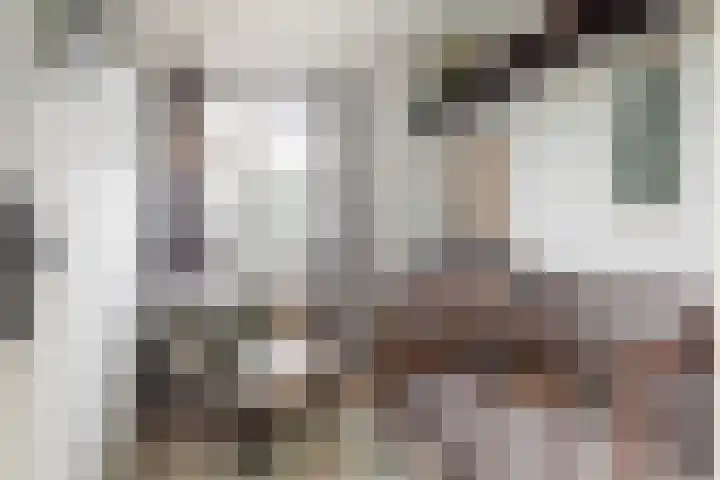 Efterwei 9 Nes thumbnail 20