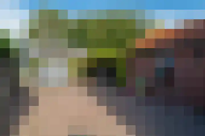 Efterwei 9 Nes thumbnail 26