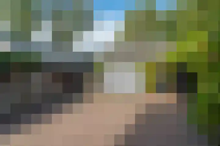 Efterwei 9 Nes thumbnail 27