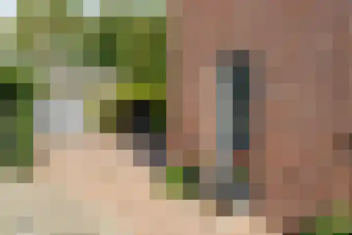 Efterwei 9 Nes thumbnail 30