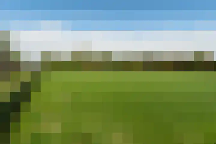Efterwei 9 Nes thumbnail 32