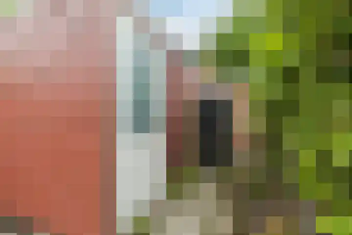 Efua Sutherlandstraat 15 Amsterdam thumbnail 30