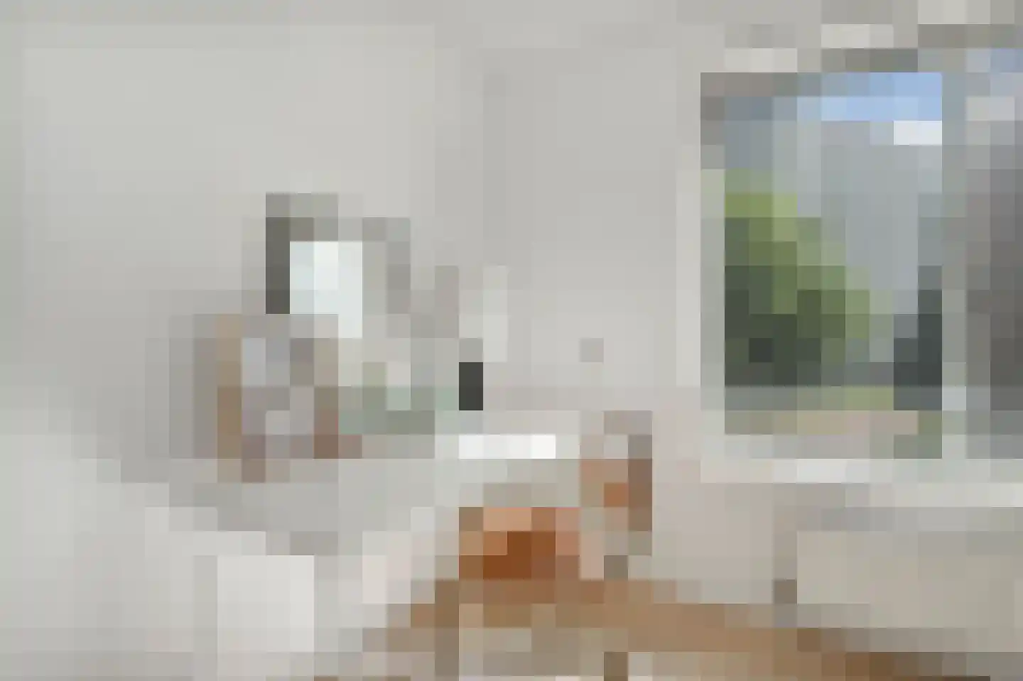 Efua Sutherlandstraat 49 Amsterdam thumbnail 15