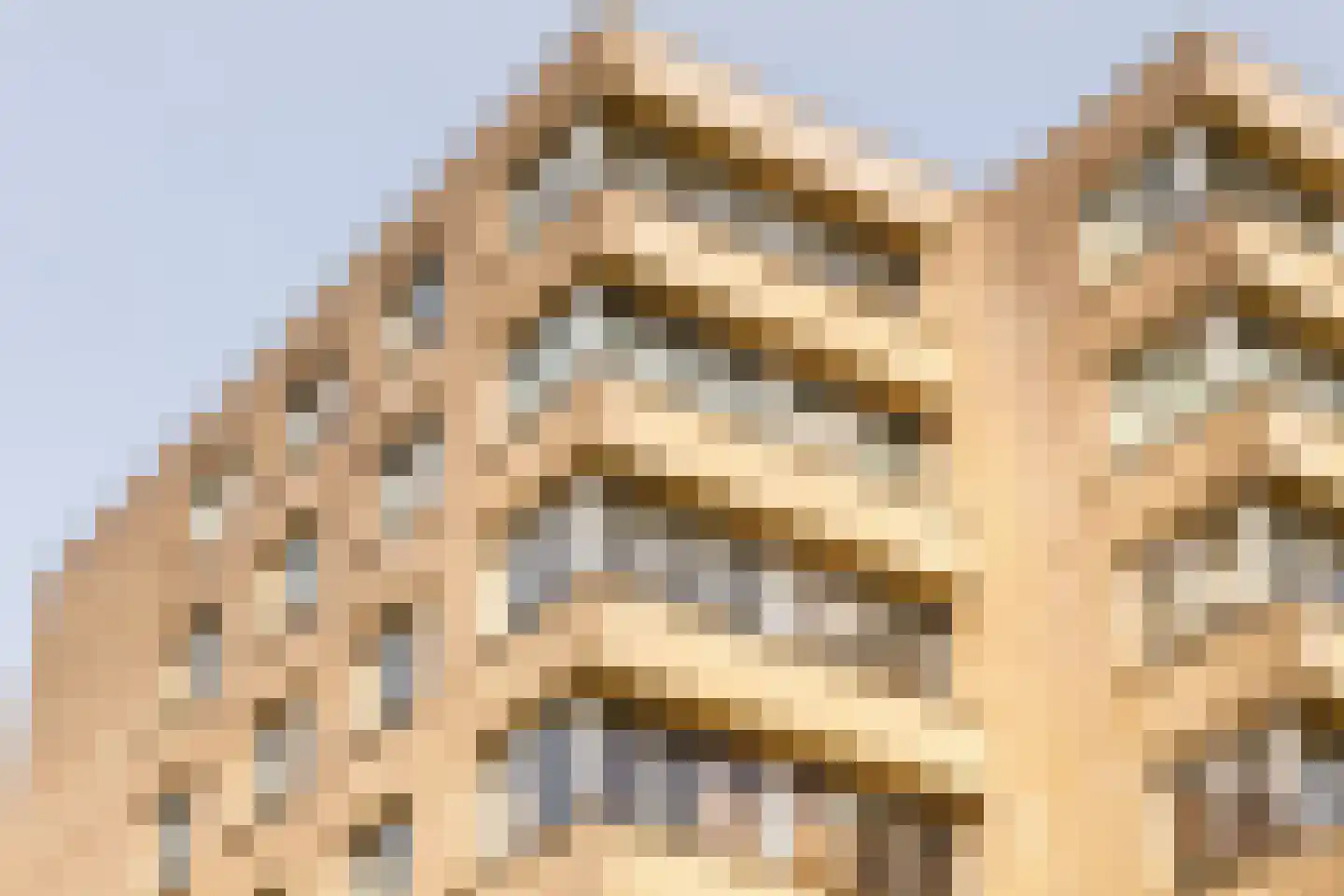 Efua Sutherlandstraat 54 Amsterdam thumbnail 6