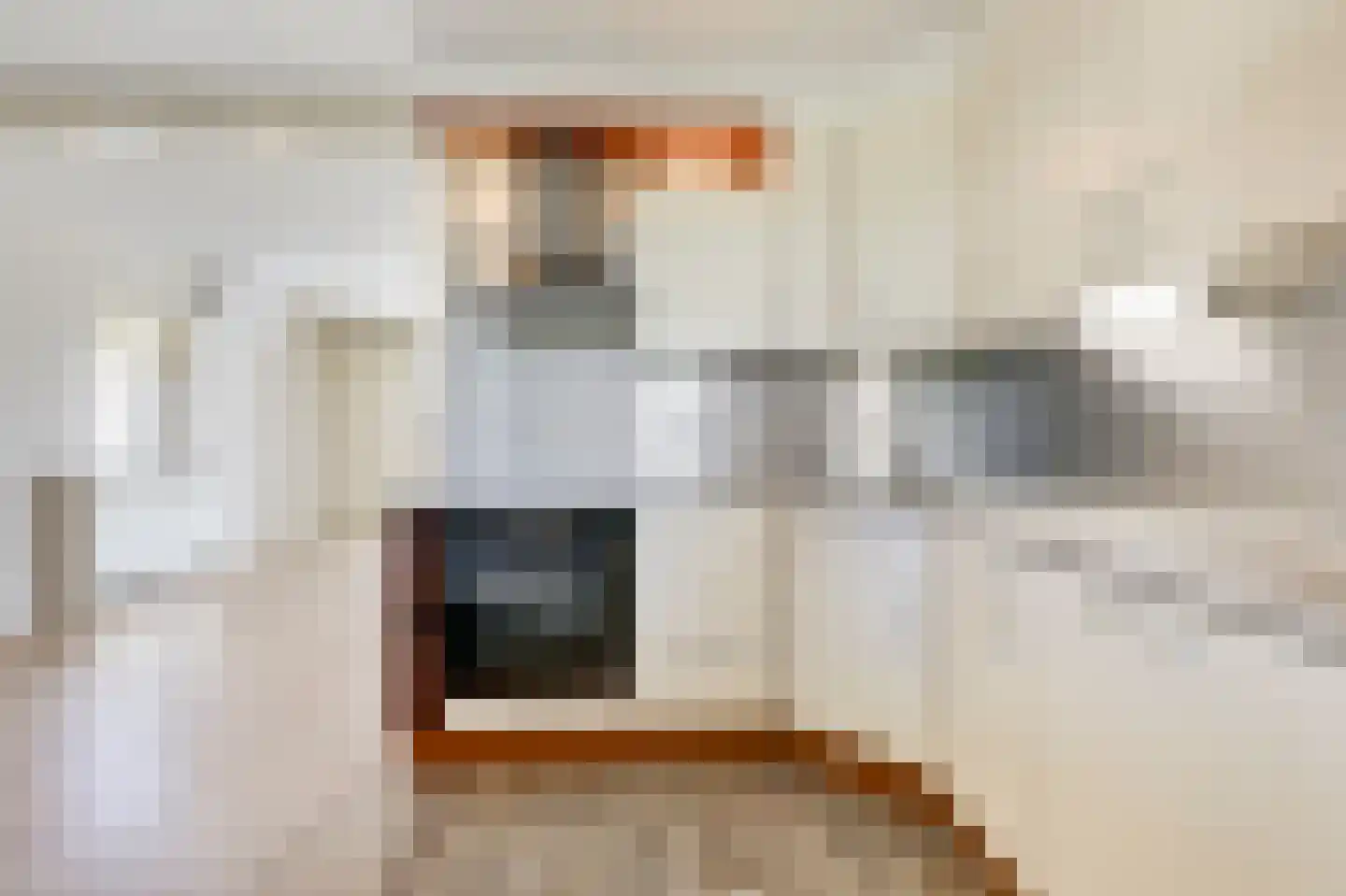 Eg 2 Didam thumbnail 28