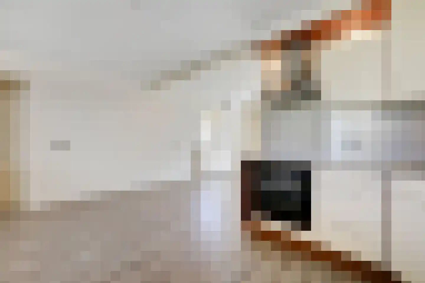 Eg 2 Didam thumbnail 29