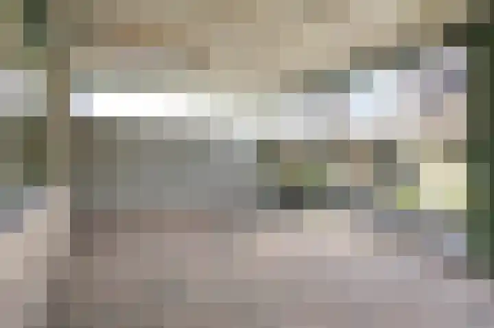 Eg 2 Didam thumbnail 35