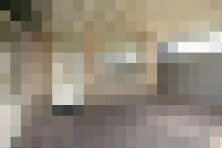 Eg 2 Didam thumbnail 37