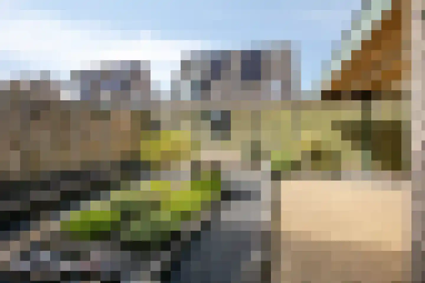 Eg 2 Didam thumbnail 38