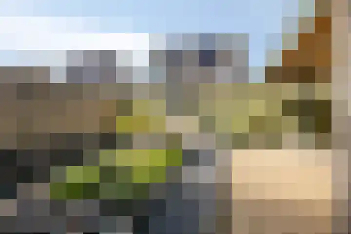 Eg 2 Didam thumbnail 38