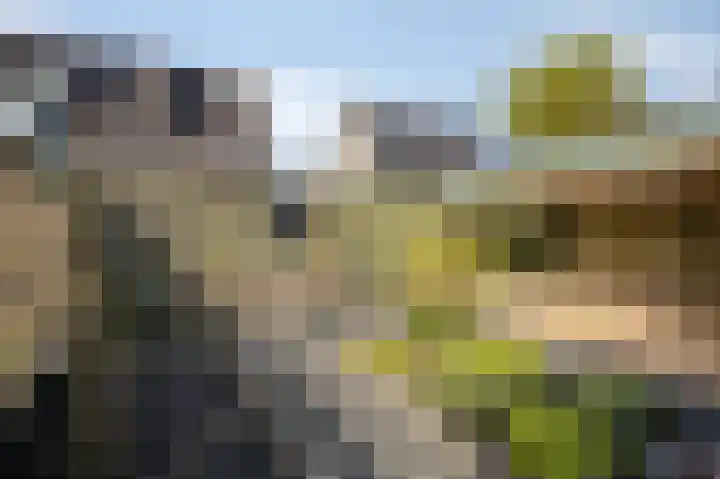 Eg 2 Didam thumbnail 39