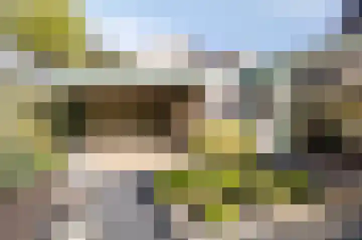 Eg 2 Didam thumbnail 40