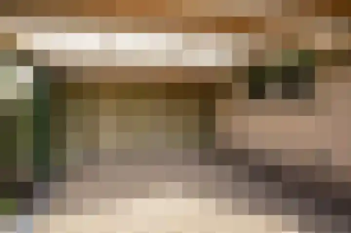 Eg 2 Didam thumbnail 42