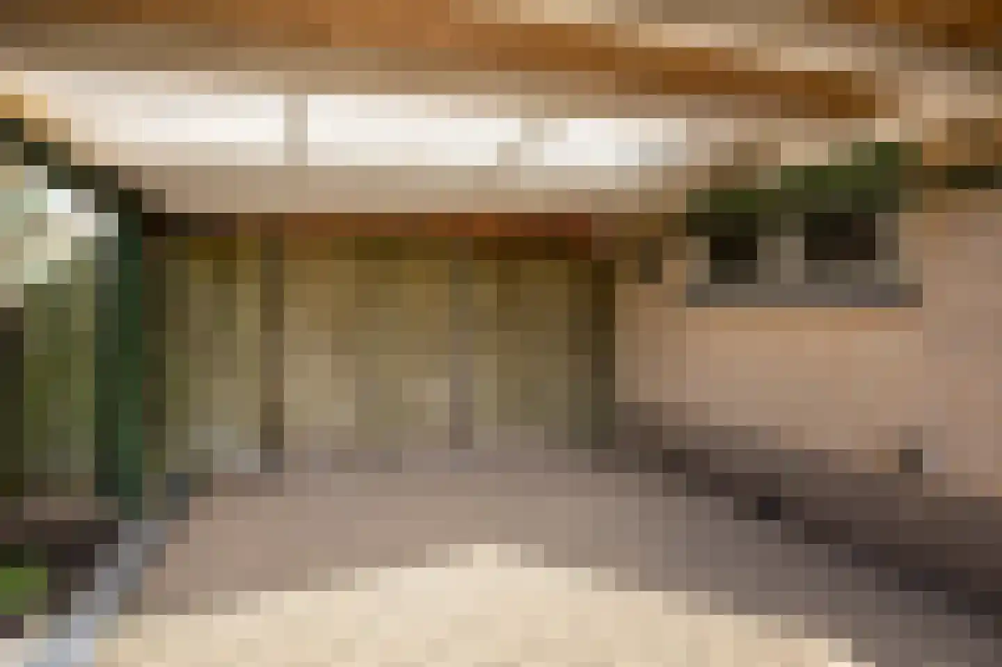 Eg 2 Didam thumbnail 42