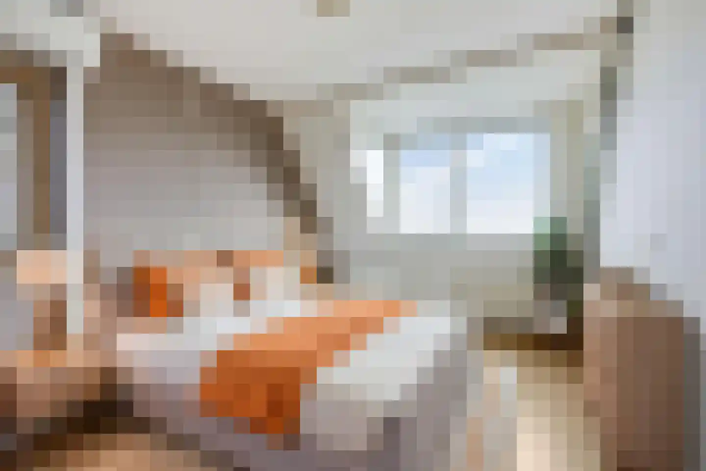 Eg 2 Didam thumbnail 47