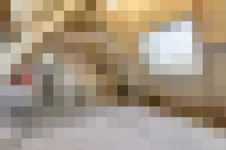 Eg 2 Didam thumbnail 59