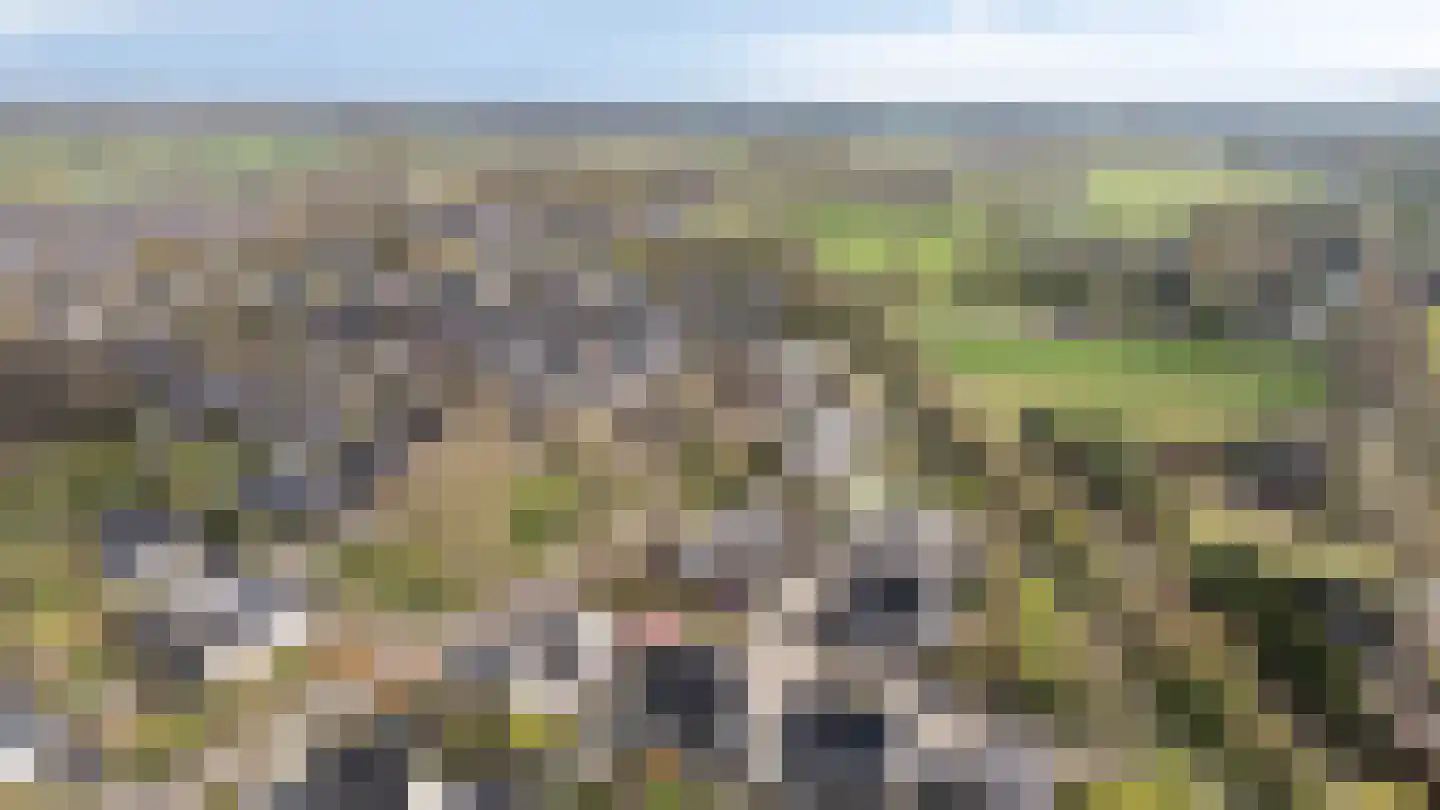 Eg 2 Didam thumbnail 7