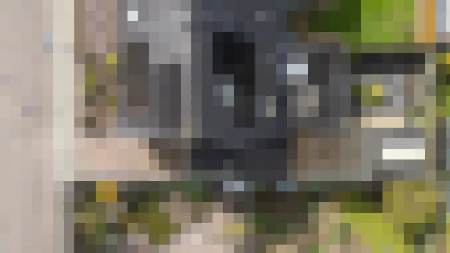 Eg 2 Didam thumbnail 8